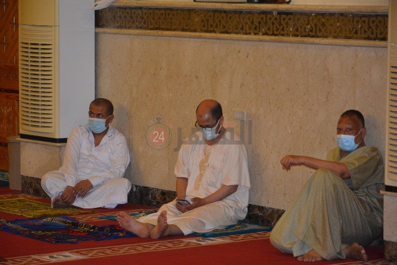 DSC_0487_copy_800x534_2