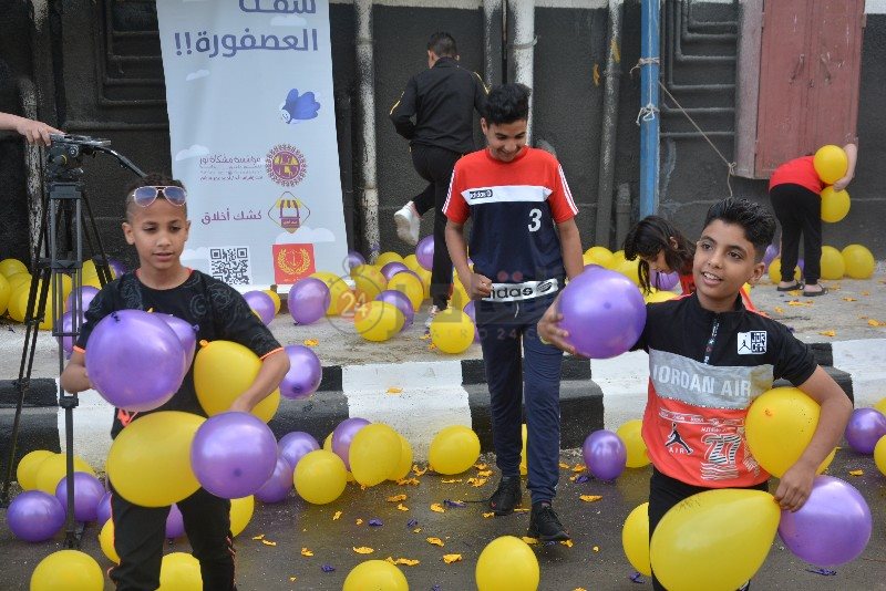 DSC_0513_copy_800x534_2