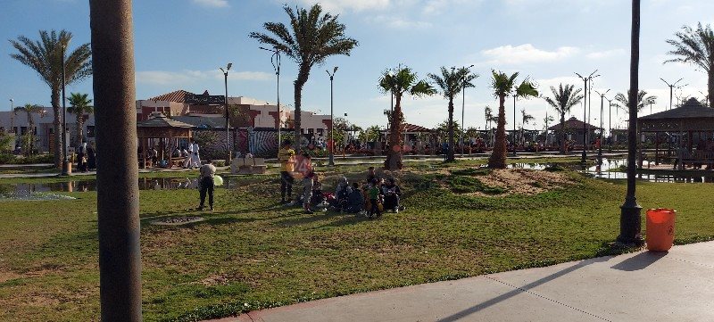 ٢٠٢١٠٥١٣_٠٦٥٥٣٩_copy_800x361