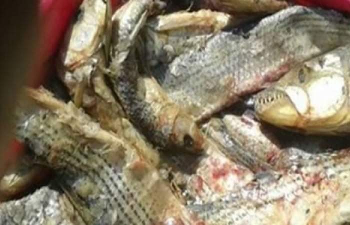 FB_IMG_1620894617305