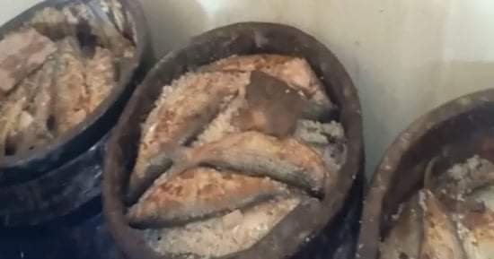 FB_IMG_1620894615004