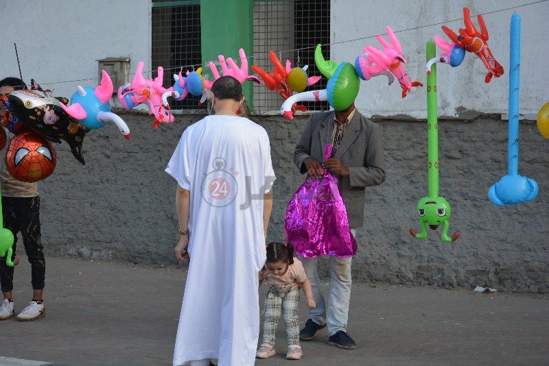 DSC_0526_copy_800x534