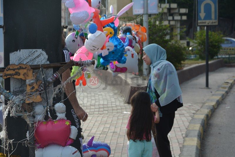 DSC_0521_copy_800x534_1