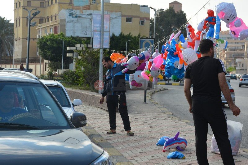 DSC_0522_copy_800x534_2