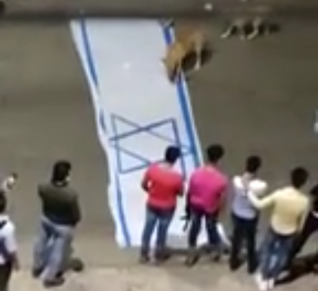 Screenshot_٢٠٢١٠٥١٧-٠٣٠٦٢٨_Facebook