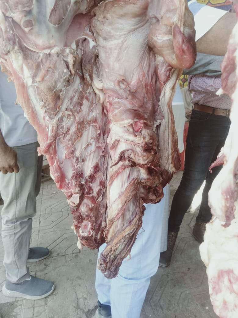 ضبط لحوم فاسدة ومصابة بالحمى في الفيوم