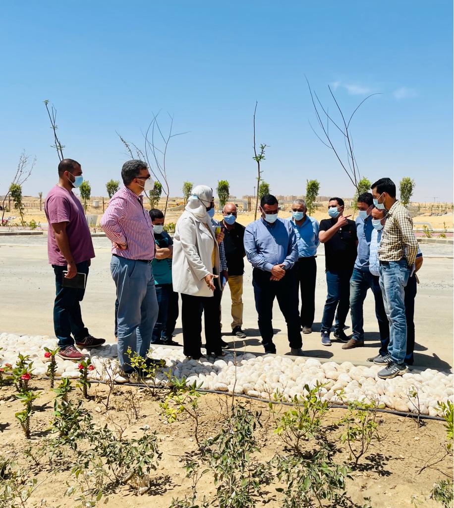 188185630_1933223260189363_2772079082741133394_n