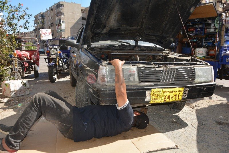 DSC_0535_copy_800x534_1