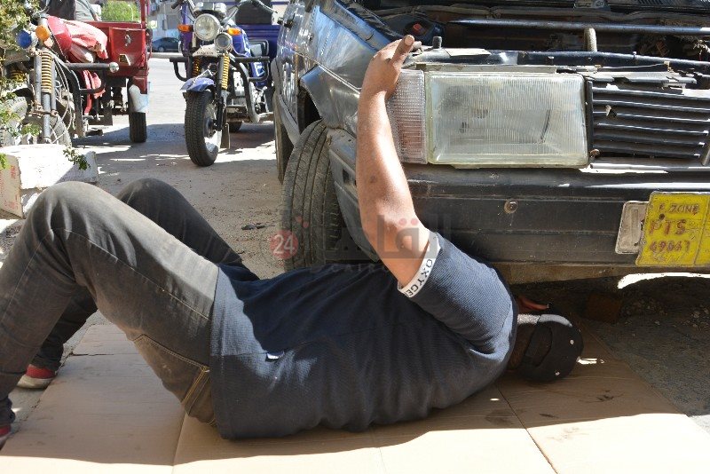 DSC_0534_copy_800x534_1