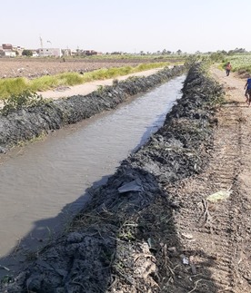تطهير المجاري المائية في الفيوم