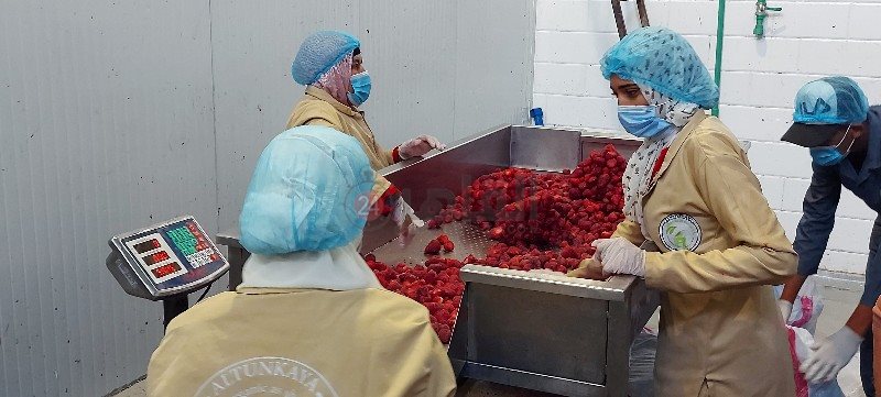 ٢٠٢١٠٥٢٢_١٢٢١٥١_copy_800x361