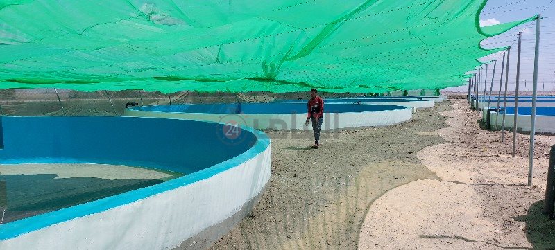 ٢٠٢١٠٥٢٢_١٣٣٧٢٢_copy_800x361