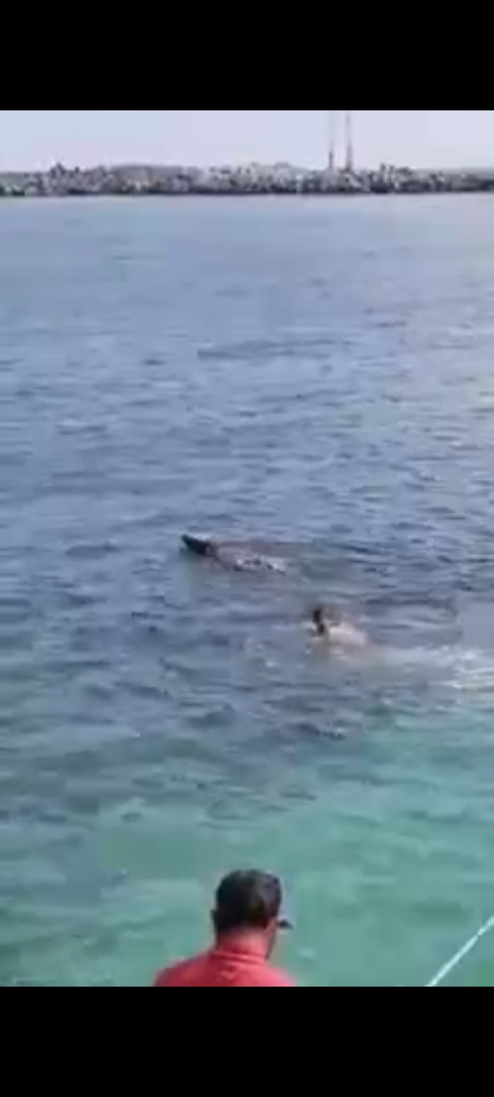 Screenshot_٢٠٢١٠٥٢٣-٠١١١٥٣_WhatsApp