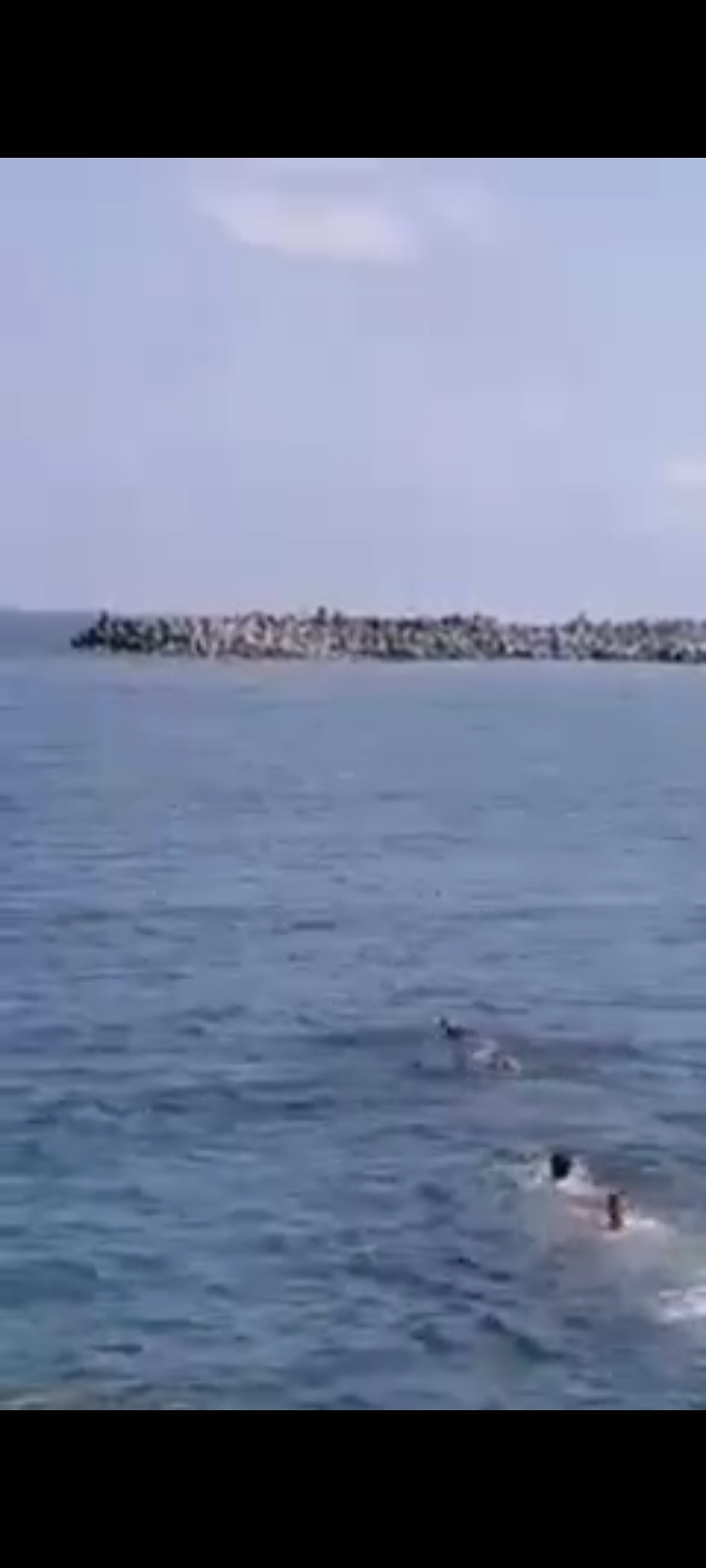 Screenshot_٢٠٢١٠٥٢٣-٠١١٢٠٨_WhatsApp