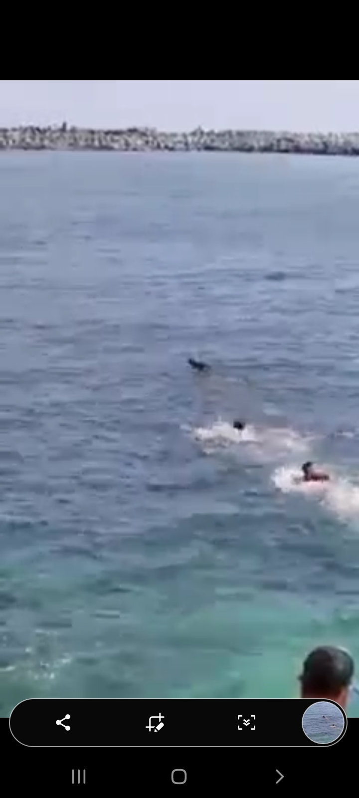 Screenshot_٢٠٢١٠٥٢٣-٠١١٢٠٢_WhatsApp