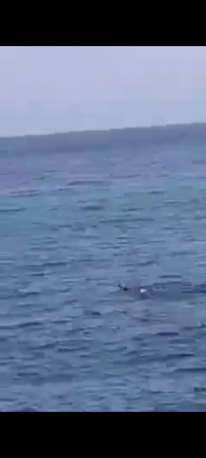 Screenshot_٢٠٢١٠٥٢٣-٠١١٢٤٩_WhatsApp