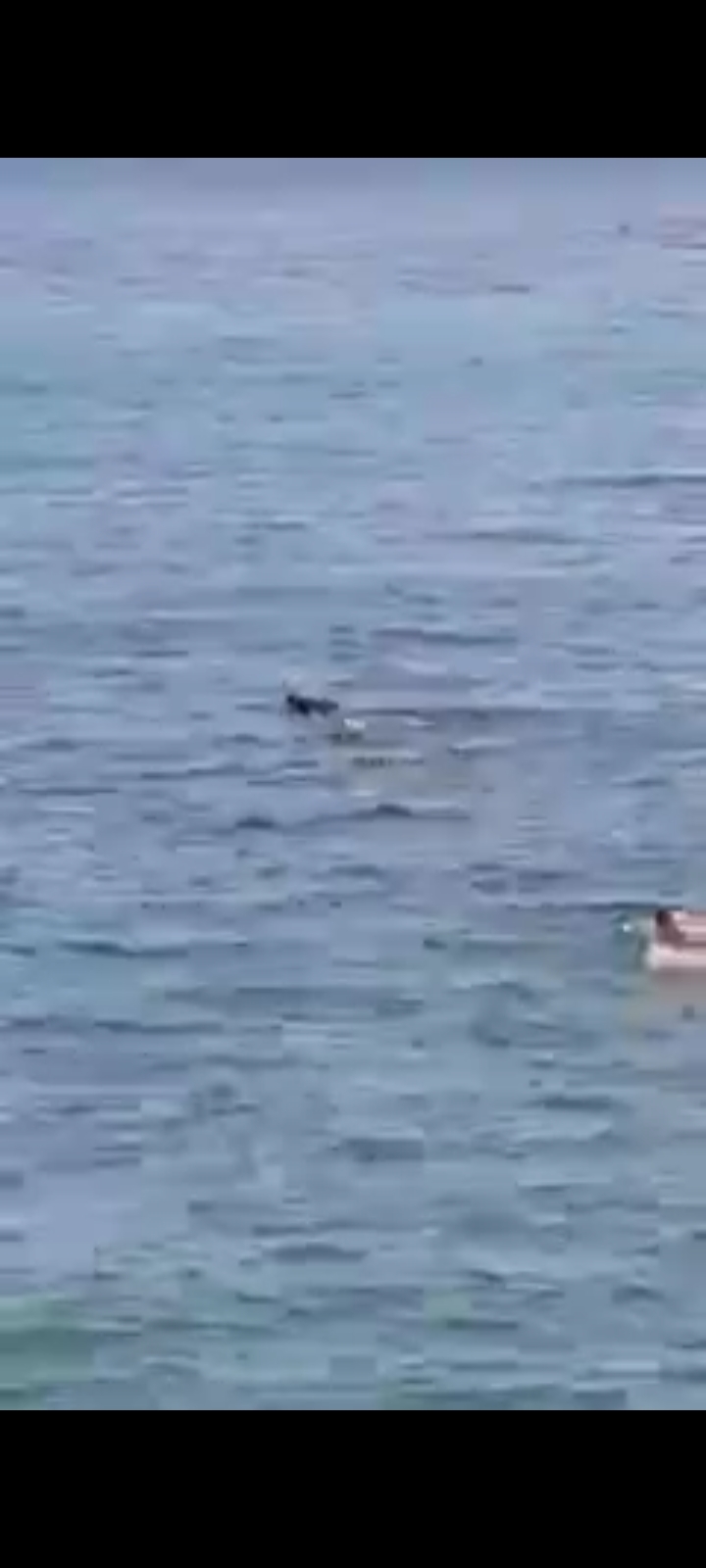 Screenshot_٢٠٢١٠٥٢٣-٠١١٢٤٢_WhatsApp