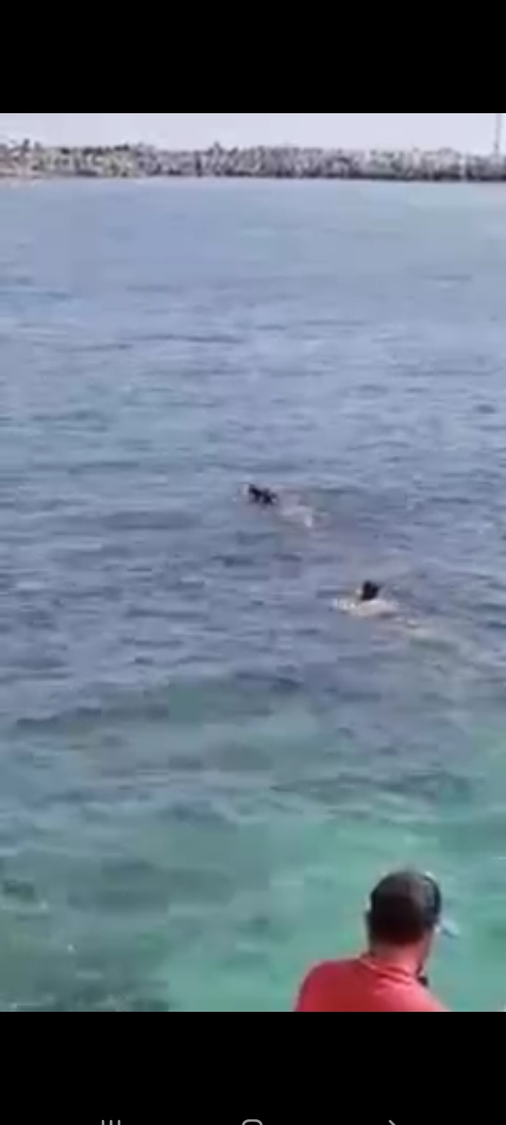 Screenshot_٢٠٢١٠٥٢٣-٠١١١٥٩_WhatsApp