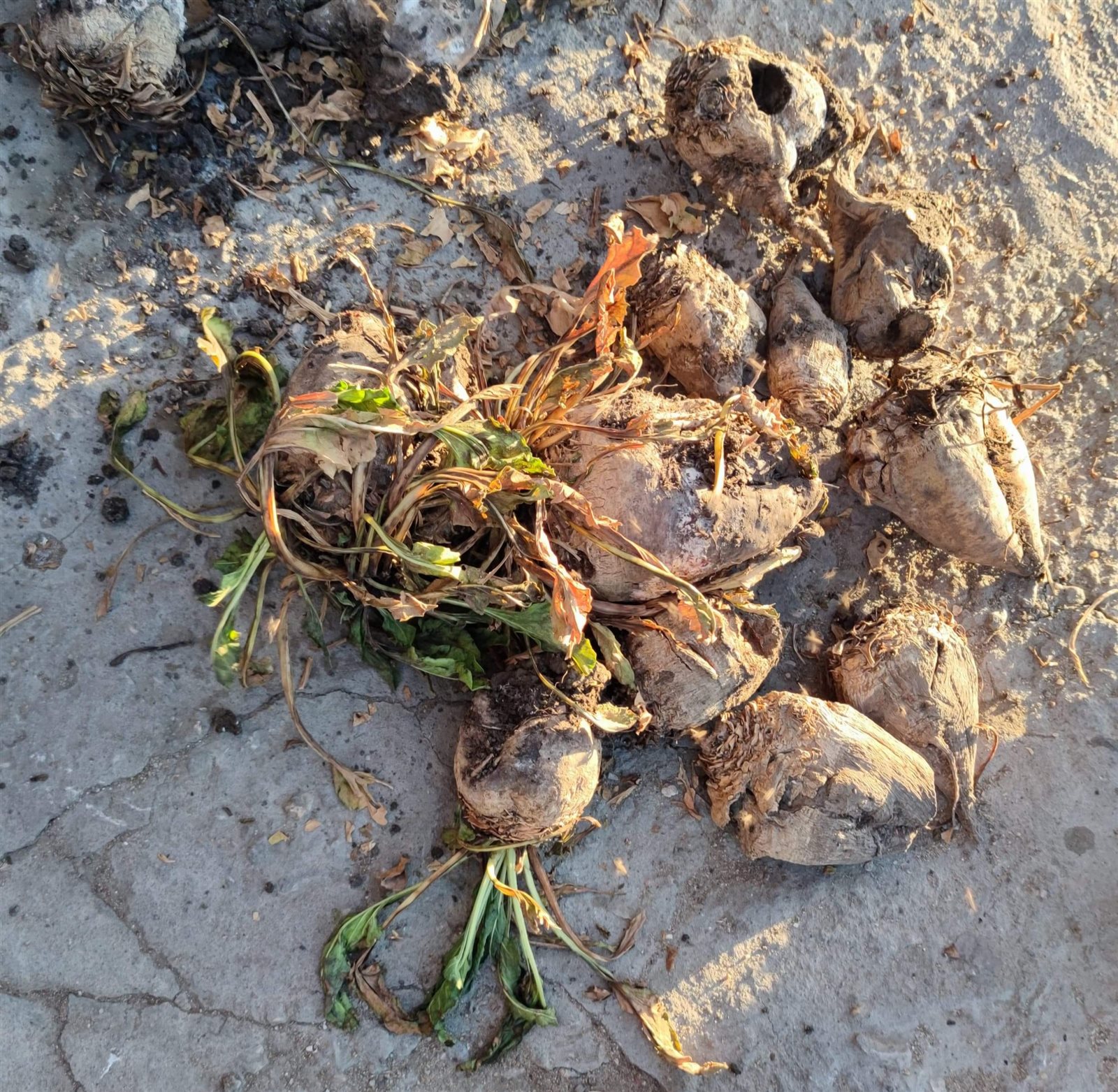 received_459189748504303