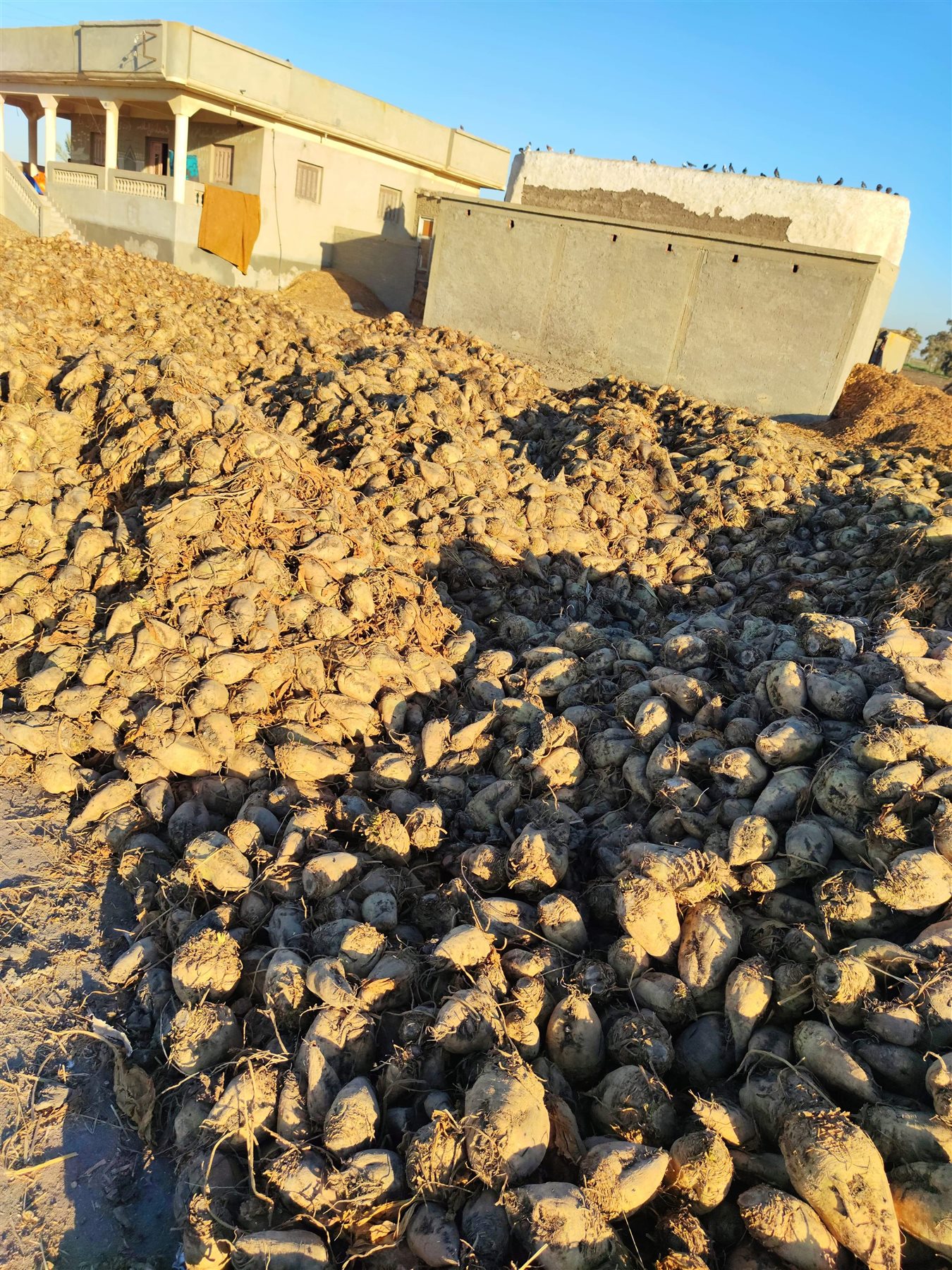 received_476253426788096