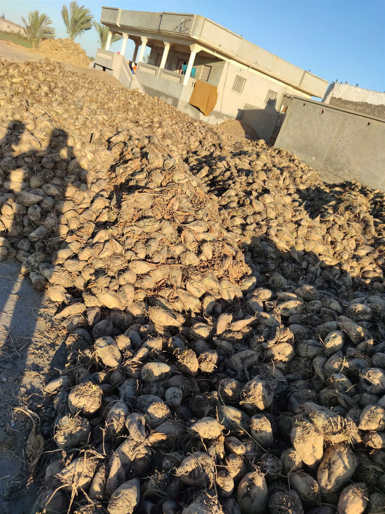 received_328419708713085