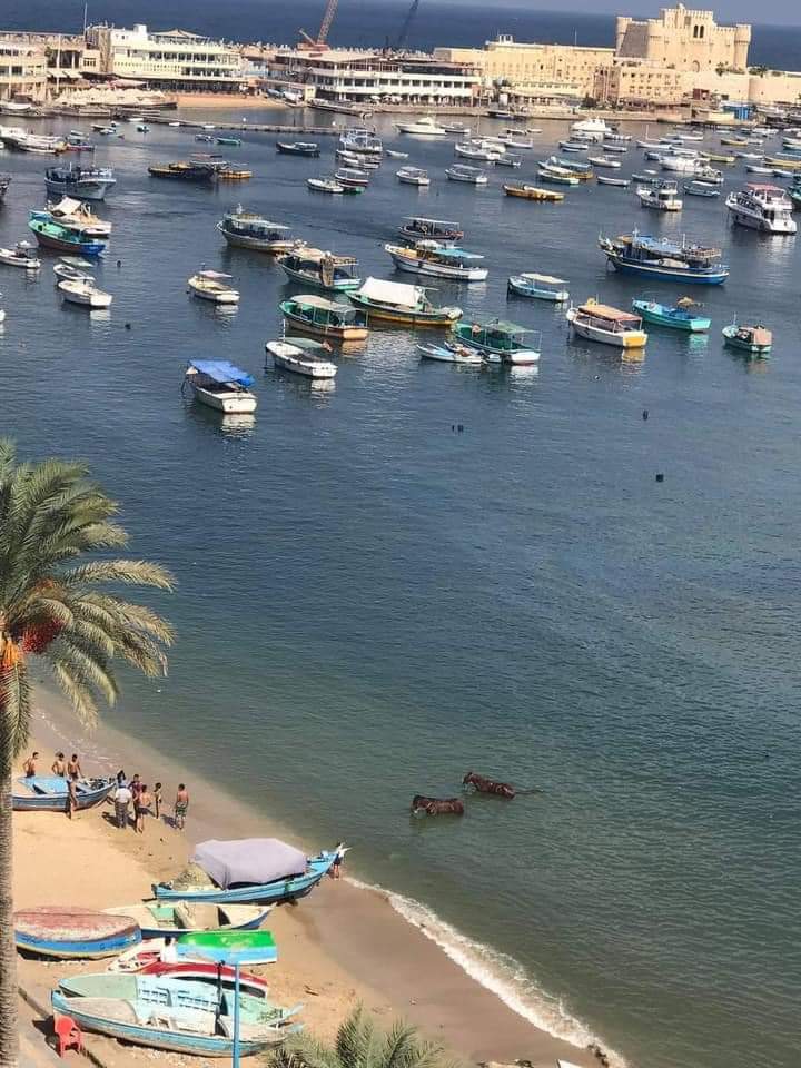 FB_IMG_1621875475656