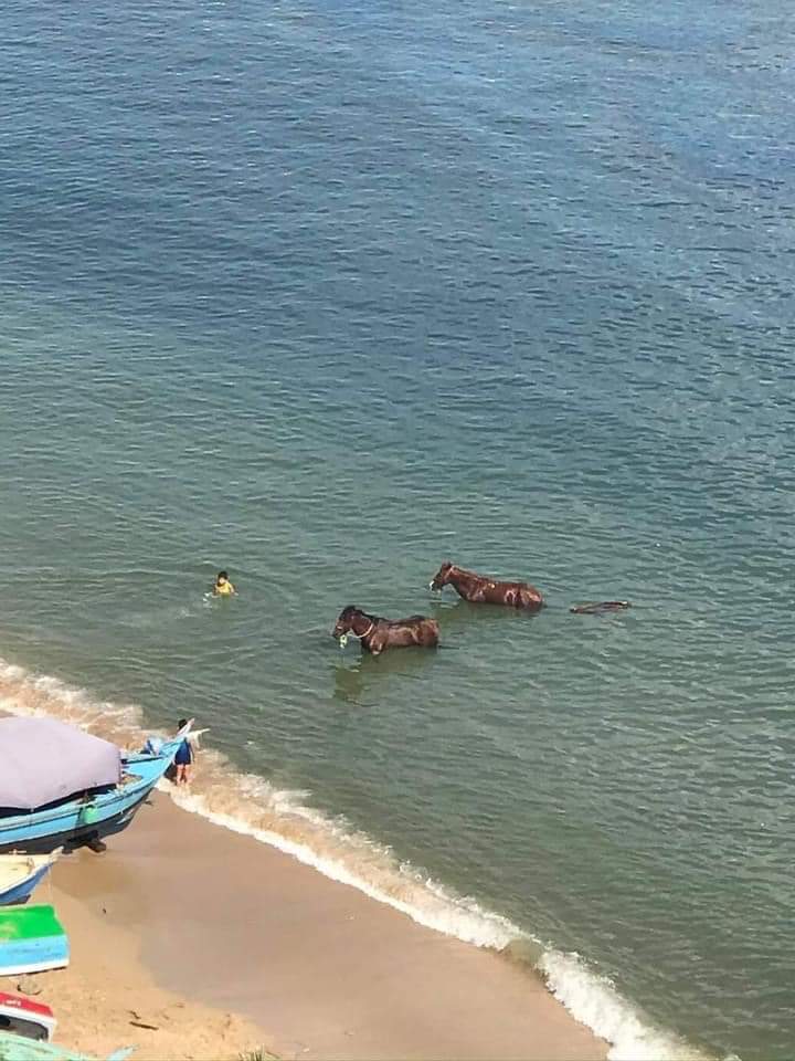 FB_IMG_1621875478254