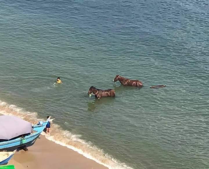 FB_IMG_1621875480426