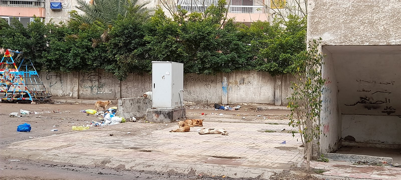 ٢٠٢١٠٢١٩_١٠٣٨٤٥