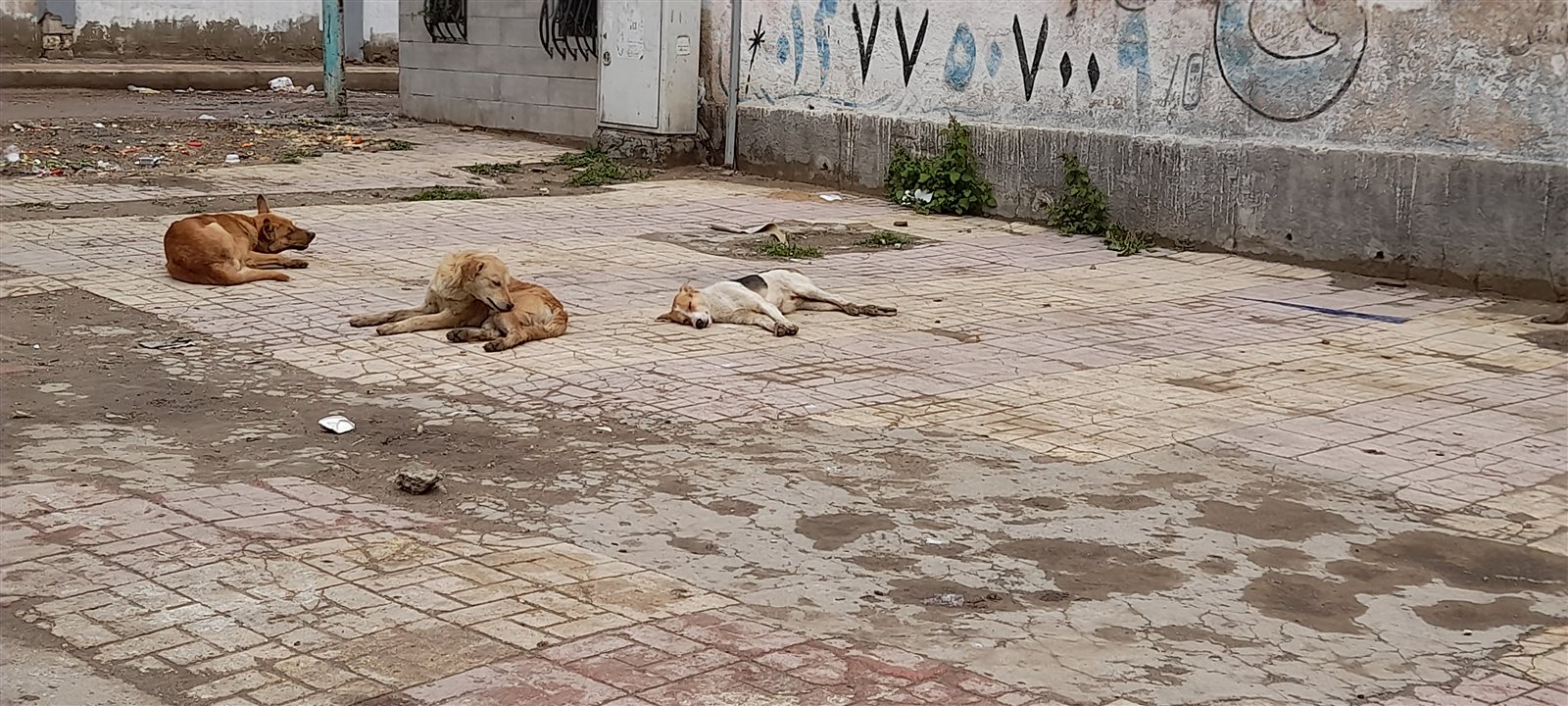 ٢٠٢١٠٢١٩_١٠٣٩٠٧