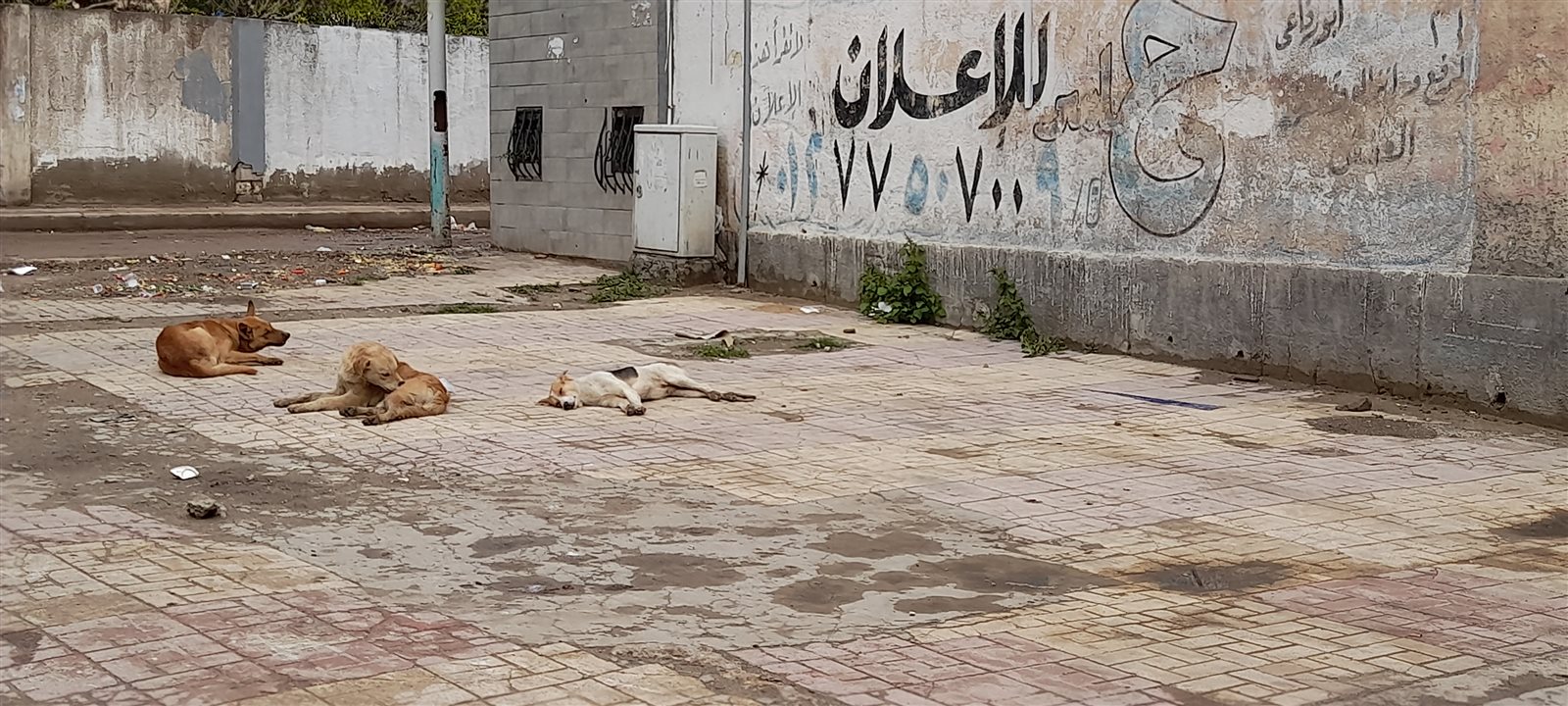 ٢٠٢١٠٢١٩_١٠٣٩٠٥