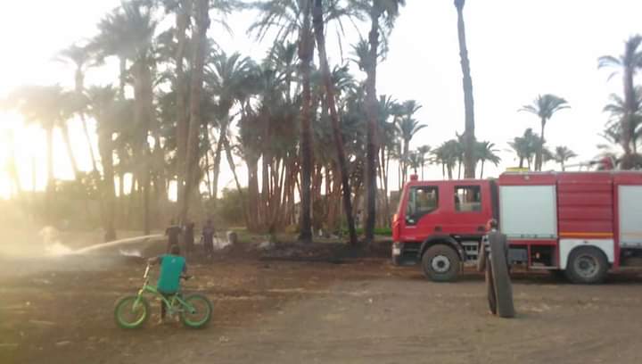 FB_IMG_1622259019267