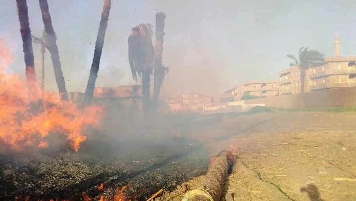 FB_IMG_1622259008651