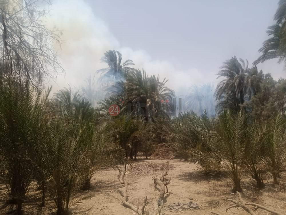 FB_IMG_1622460964916