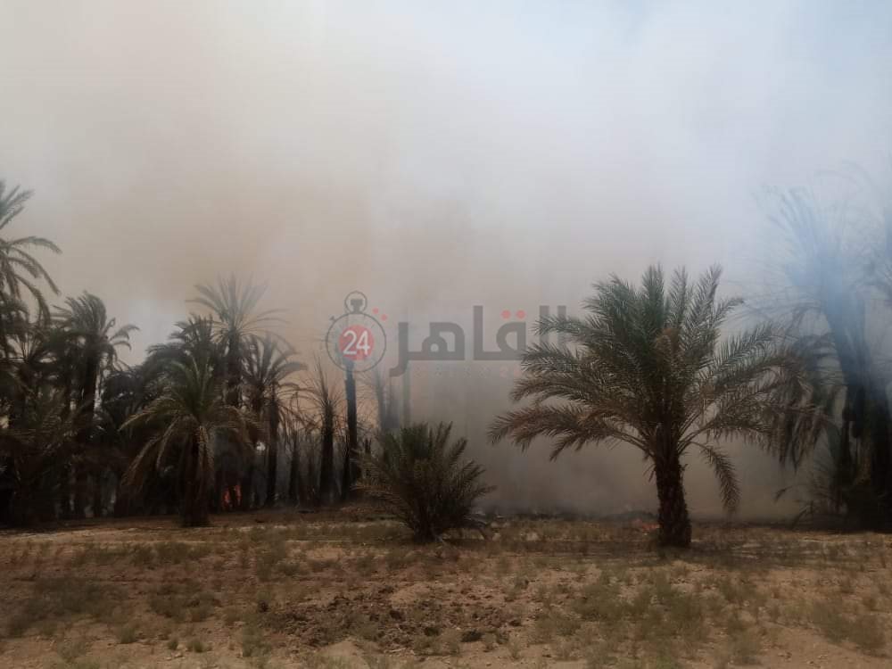 FB_IMG_1622460960834