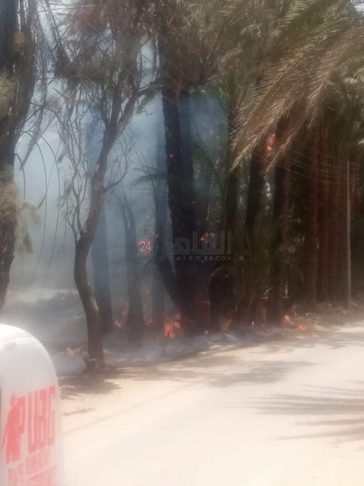 FB_IMG_1622460956029