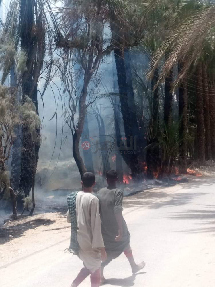 FB_IMG_1622460932020