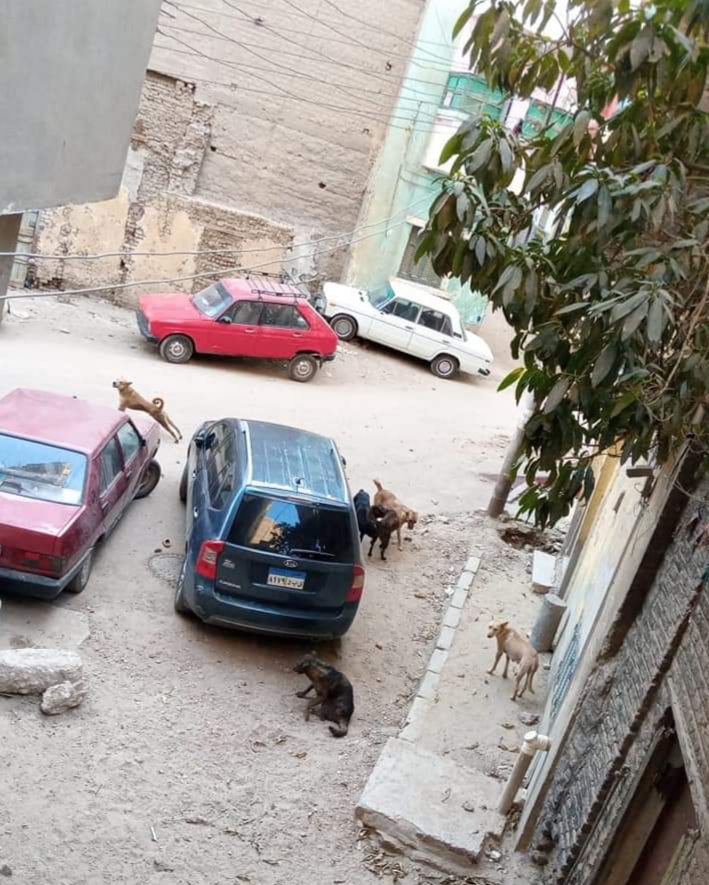 ٢٠٢١٠٦٠١_٢٠٤١٠٩