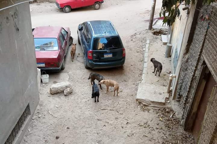 ٢٠٢١٠٦٠١_٢٠٤٠٥٦