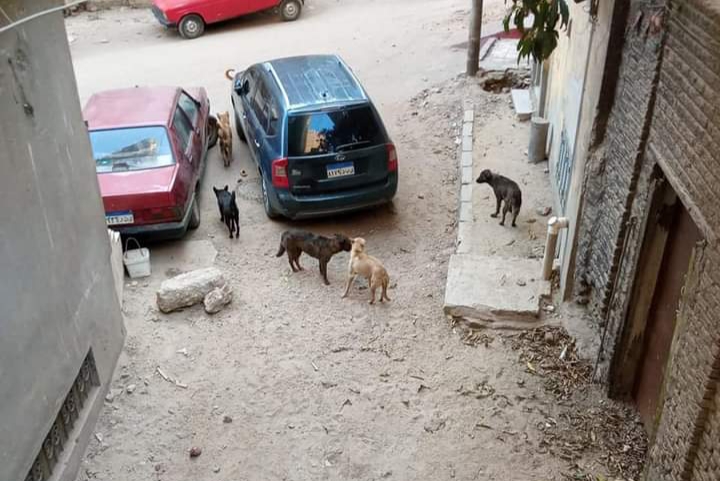 ٢٠٢١٠٦٠١_٢٠٤٠٤٦