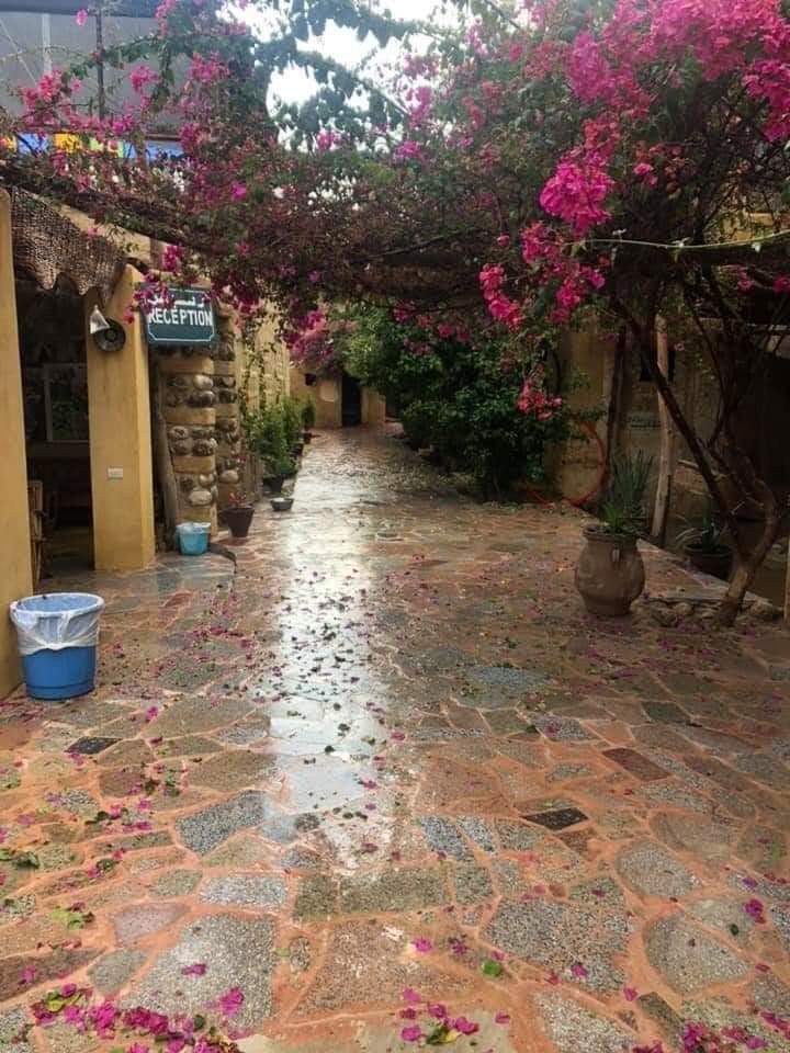 قرية تونس بالفيوم