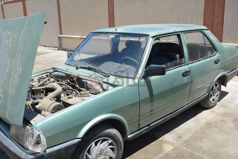 DSC_0073_copy_800x534_1