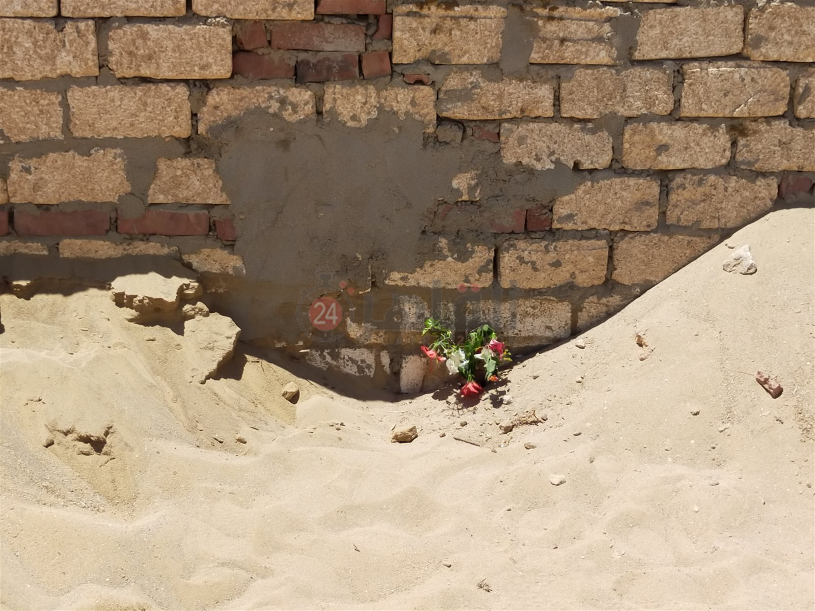 قبر إيفيلين بوريه بالفيوم