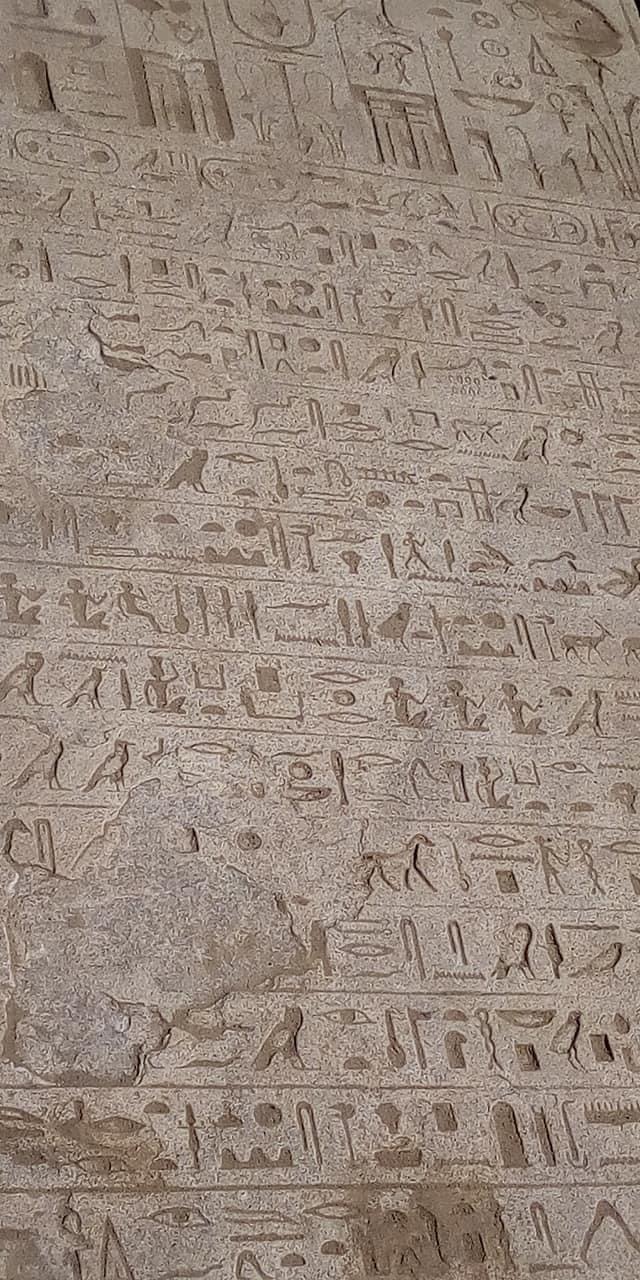 F8E70864-C407-4E9B-8C43-0E4EADE393AD