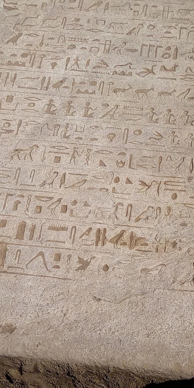 AAA55339-F674-4F5F-9CEE-4F849C847C3D