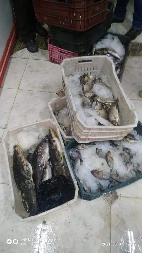 FB_IMG_1623096216552