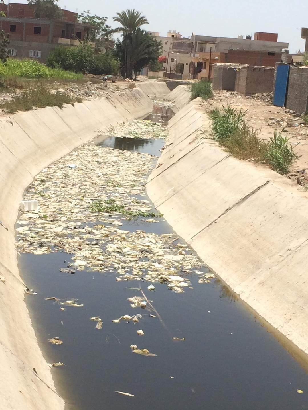 تراكم القمامة في ترعة سماكين الشرق المبطنة 1