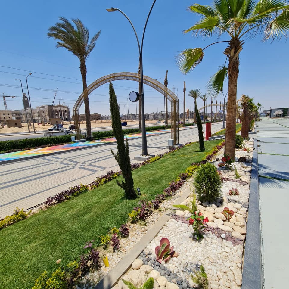 198337091_154102056760223_7329300859683512632_n