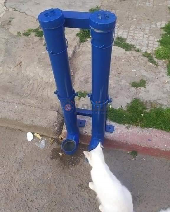 FB_IMG_1623765318469