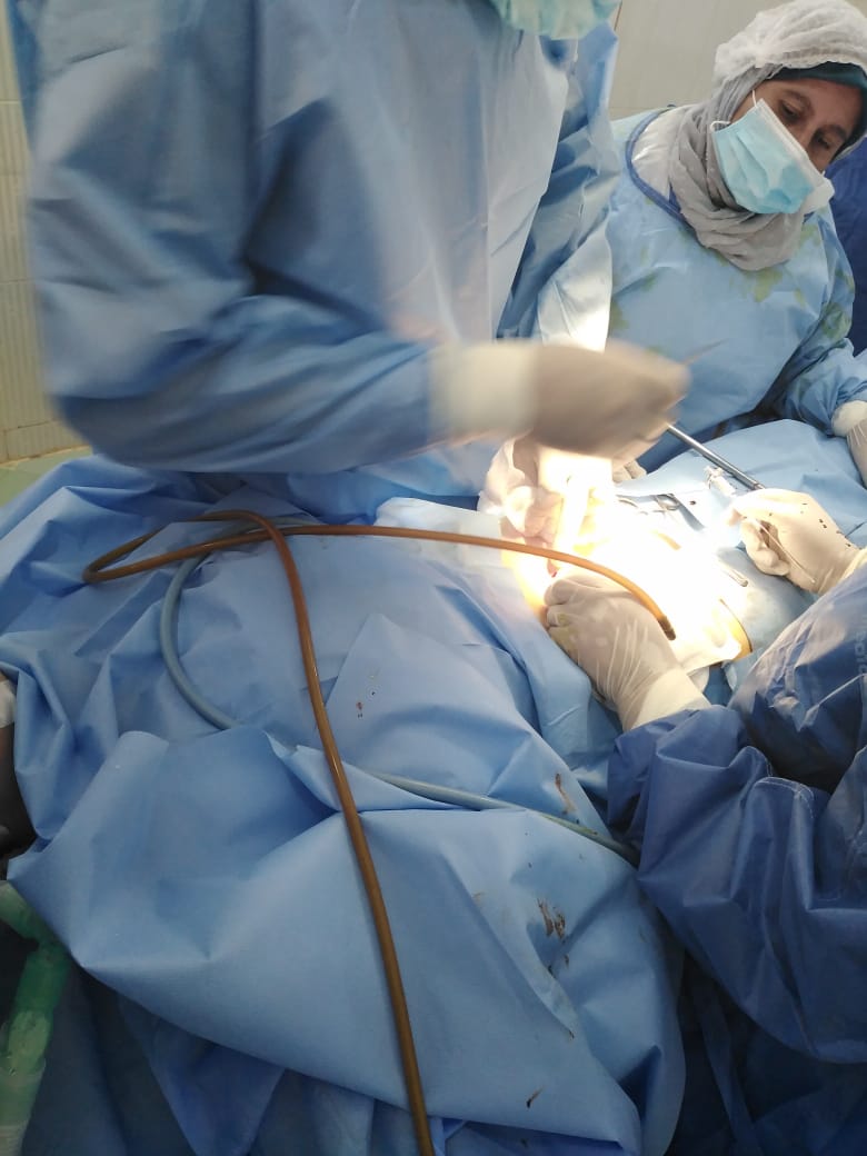 منظار طبي لسيدة ألمانية في مستشفى منيا القمح